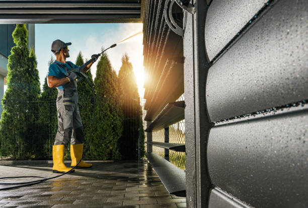 Best Graffiti Removal  in Batavia, NY