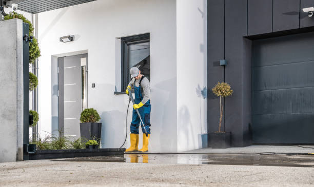 Best Fleet Vehicle Washing  in Batavia, NY